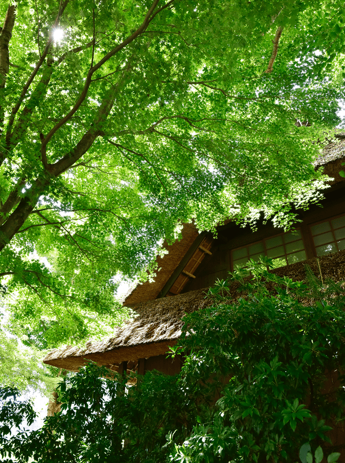 西湖いやしの里根場 美しき日本の原風景