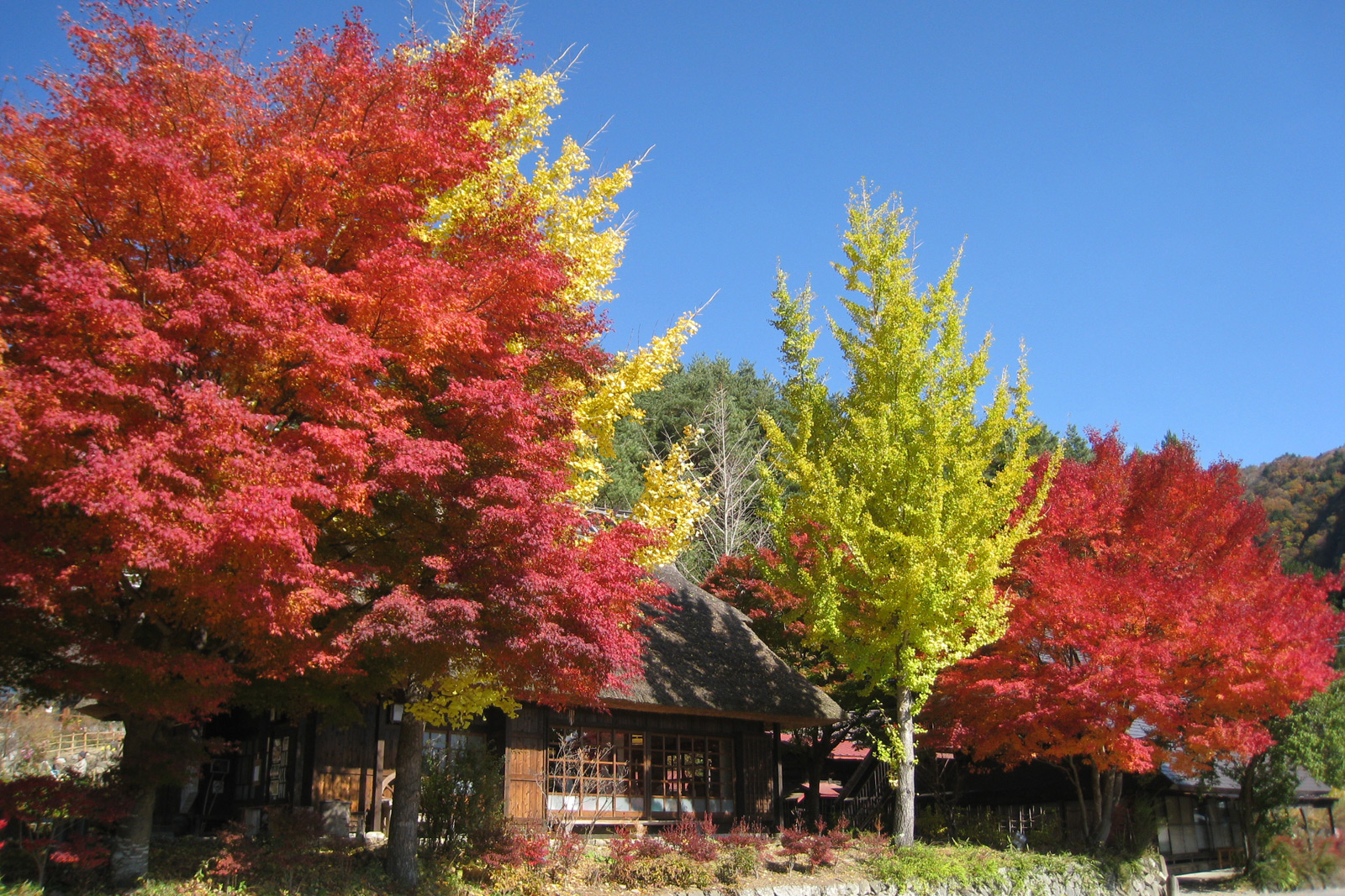 西湖いやしの里根場 美しき日本の原風景